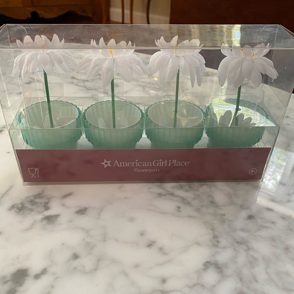 American Girl Flowerpots with White and Mint Design